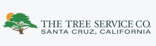 THE TREE SERVICE CO. SANTA CRUZ, CALIFORNIA logo