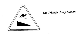 THE TRIANGLE JUMP STATION logo