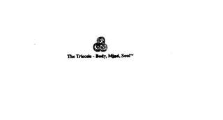 THE TRISCELE-BODY, MIND, SOUL logo