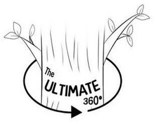 THE ULTIMATE 360º logo