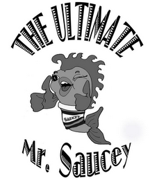 THE ULTIMATE SAUCEY MR. SAUCEY logo