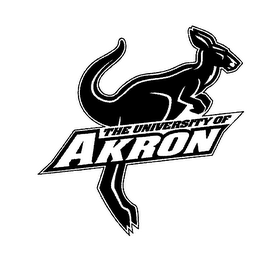 THE UNIVERSITY OF AKRON logo