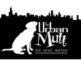 THE URBAN MUTT SIT. STAY. WATCH. WWW.THEURBANMUTT.TV logo