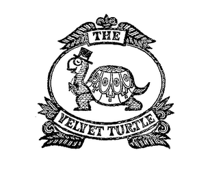THE VELVET TURTLE logo