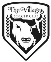 THE VILLAGES SOCCER CLUB logo