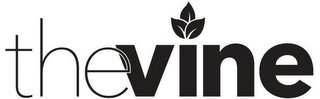 THE VINE logo
