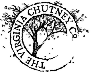 THE VIRGINIA CHUTNEY CO. logo