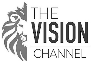 THE VISION CHANNEL logo