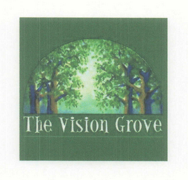 THE VISION GROVE logo