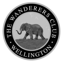 · THE WANDERERS CLUB · WELLINGTON logo