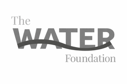 THE WATER FOUNDATION logo