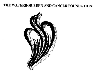 THE WATERBOR BURN AND CANCER FOUNDATION logo