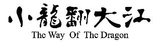 THE WAY OF THE DRAGON logo