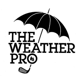 THE WEATHER PRO logo