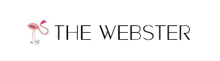 THE WEBSTER MR logo