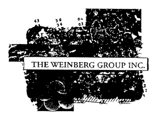 THE WEINBERG GROUP INC. logo