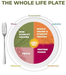 THE WHOLE LIFE PLATE SUSTAINABILITY FLAVOR MOVEMENT MINDFULNESS HYDRATION NON-STARCHY VEGGIES WHOLE GRAIN & STARCHY VEGGIES FLATS & OILS FRUITS PROTEIN FOODS logo