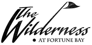 THE WILDERNESS AT FORTUNE BAY logo