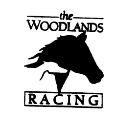 THE WOODLANDS RACING logo