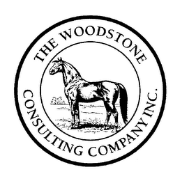 THE WOODSTONE CONSULTING COMPANY INC. logo