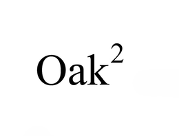 THE WORD OAK FEATURING THE NUMBER 2 IN SUPERSCRIPT, DENOTING SQUARED. THE SUPERSCRIPT 2 IS POSITIONED IN THE UPPER RIGHT-HAND CORNER OF THE LETTER "K." logo