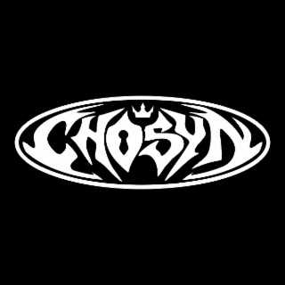 THE WORDMARK SAYS: CHOSYN logo