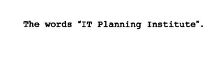 THE WORDS "IT PLANNING INSTITUTE". logo