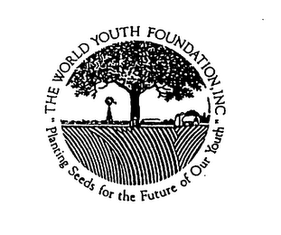 THE WORLD YOUTH FOUNDATION, INC "PLANTING SEEDS FOR THE FUTURE OF OUR YOUTH" logo