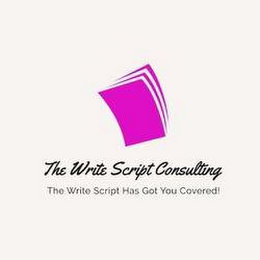 THE WRITE SCRIPT CONSULTING THE WRITE SCRIPT HAS GOT YOU COVERED! logo