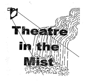 THEATRE IN THE MIST logo