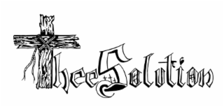 THEESOLUTION logo