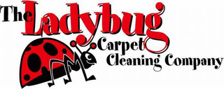 THELADYBUG CARPET CLEANING COMPANY logo