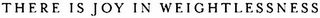THERE IS JOY IN WEIGHTLESSNESS logo