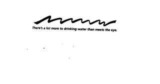 THERE'S A LOT MORE TO DRINKING WATER THAN MEETS THE EYE logo