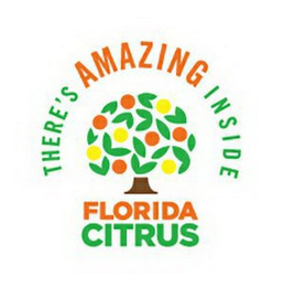 THERE'S AMAZING INSIDE FLORIDA CITRUS logo