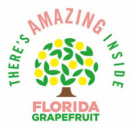 THERE'S AMAZING INSIDE FLORIDA GRAPEFRUIT logo