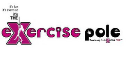 THERE'S ONLY ONE EXERCISE POLE; ITS FUN, ITS EXERCISE ITS THE EXERCISE POLE logo
