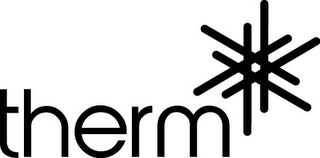 THERM logo
