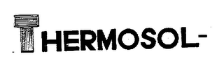 THERMOSOL- logo