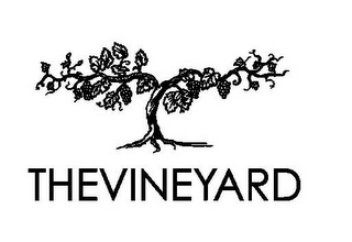 THEVINEYARD logo