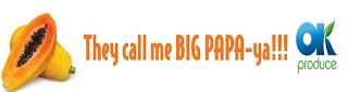 THEY CALL ME BIG PAPA-YA!!! OK PRODUCE logo