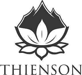 THIENSON logo