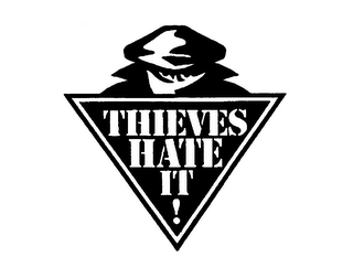 THIEVES HATE IT! logo