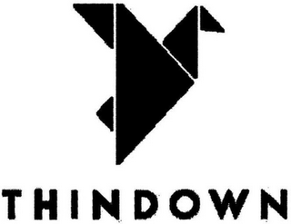 THINDOWN logo
