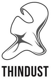 THINDUST logo