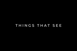 THINGS THAT SEE
