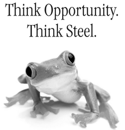 THINK OPPORTUNITY. THINK STEEL. logo