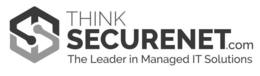 THINK SECURENET.COM THE LEADER IN MANAGED IT SOLUTIONS logo