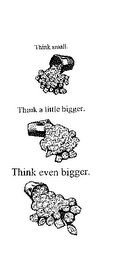 THINK SMALL. THINK A LITTLE BIGGER. THINK EVEN BIGGER. logo