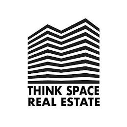 THINK SPACE REAL ESTATE logo